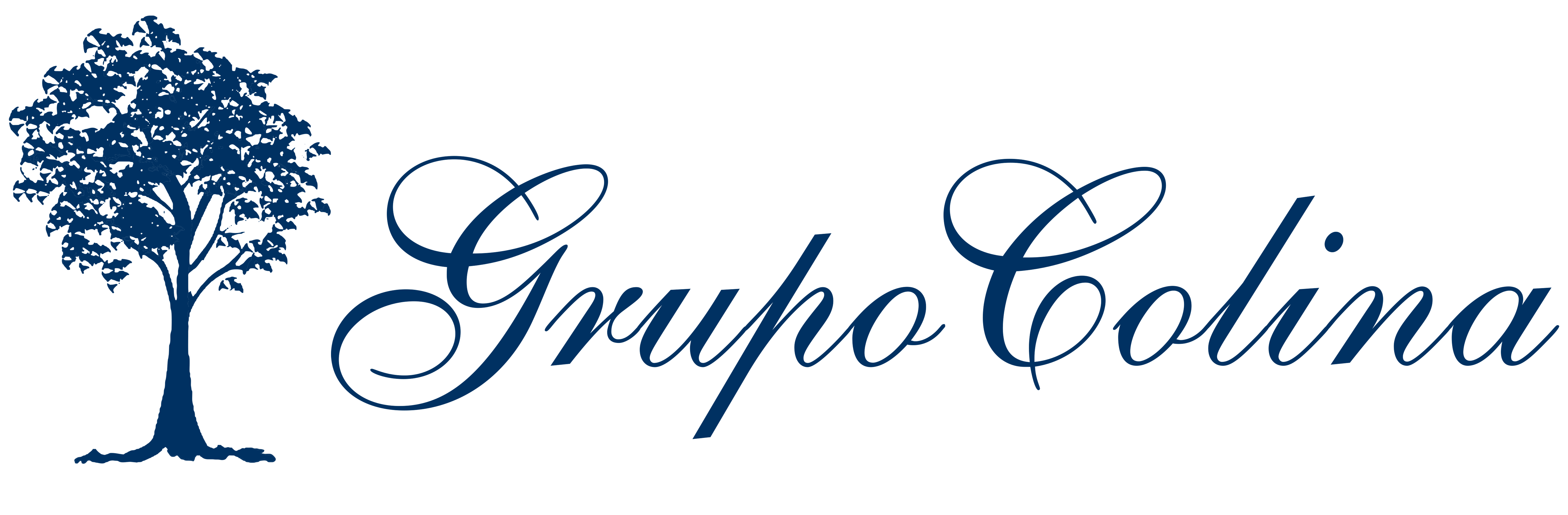 Grupo Colina